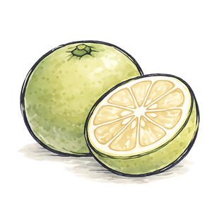 Kabosu