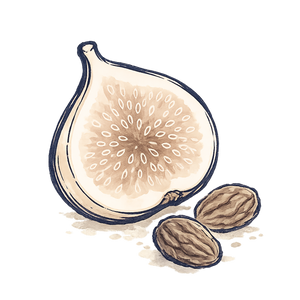 Dried Fruit