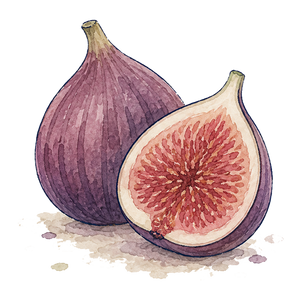 Fig
