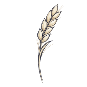 Grain