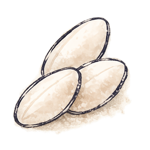 Koji