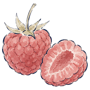 Raspberry