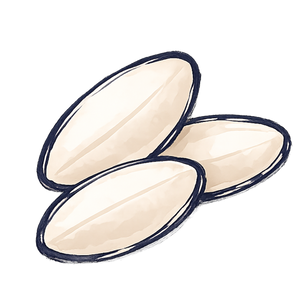 Rice Grains