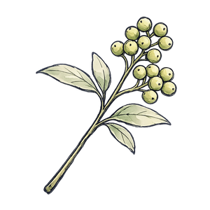 Sansho