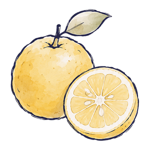 Yuzu