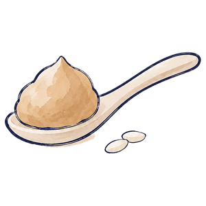 Miso
